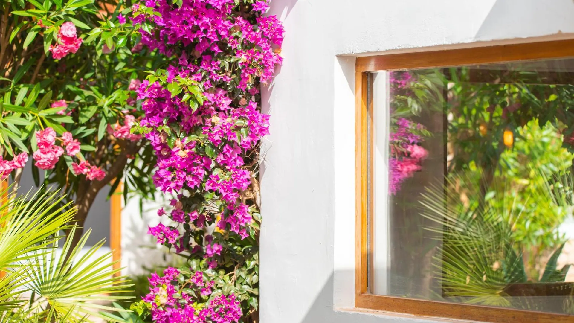 Chic Ibiza Villa Nearby Olivera Beach サンタ・エウラリア・デス・リウ
